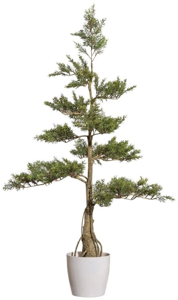 Кедровое дерево искусственное, 160 см, зеленый, в горшке от компании ООО "Спрингхауз" - фото 1