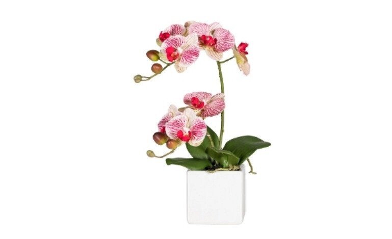Орхидея искусственная 45 см, в керамическом горшке, белый от компании ООО "Спрингхауз" - фото 1