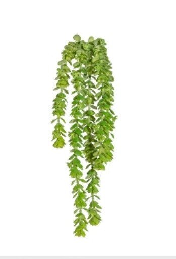 Седум висячий искусственный  40 см, зеленый от компании ООО "Спрингхауз" - фото 1