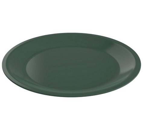 Тарелка Caruba 26 см, зеленый от компании ООО "Спрингхауз" - фото 1