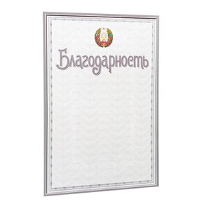 Благодарность С48, А4, 250 г/м2