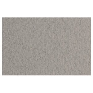 Бумага для пастели "Tiziano", 50x65 см, 160 г/м2, серый теплый