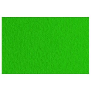 Бумага для пастели "Tiziano", А4, 160 г/м2, зеленый темный