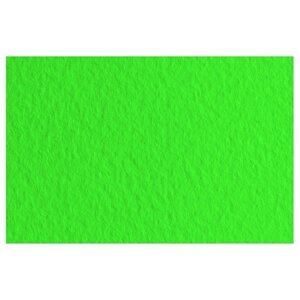 Бумага для пастели "Tiziano", А4, 160 г/м2, зеленый