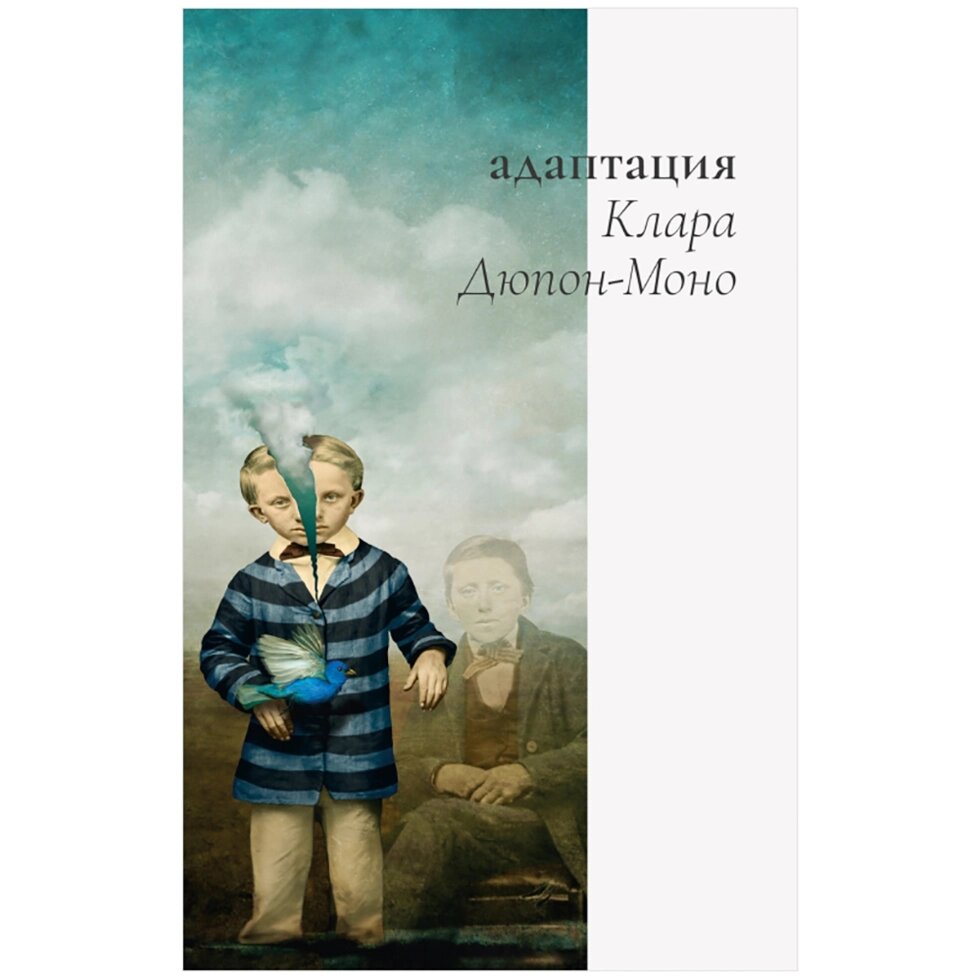 Книга "Адаптация", Клара Дюпон-Моно от компании «Офистон маркет» - фото 1