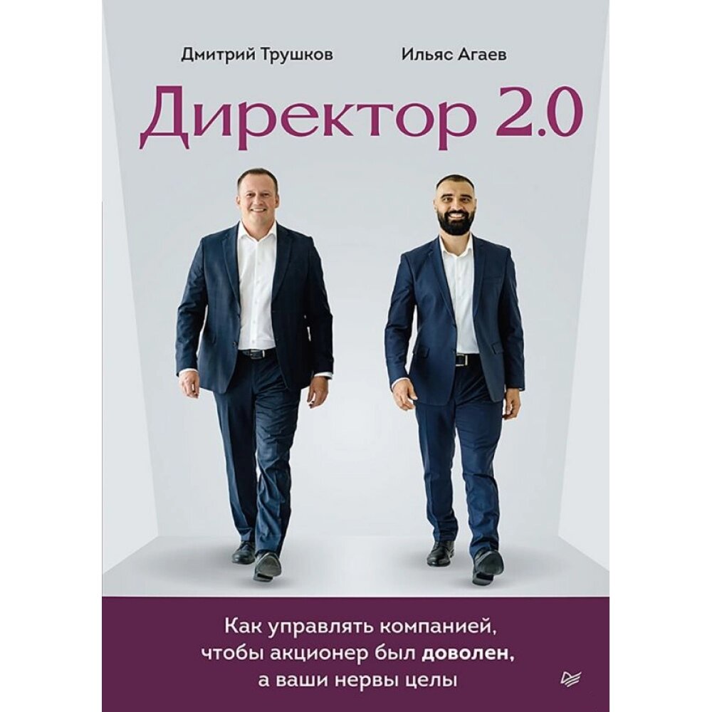 Книга "Директор 2.0. Как управлять компанией, чтобы акционер был доволен, а ваши нервы целы", Ильяс Агаев, Дмитрий от компании «Офистон маркет» - фото 1