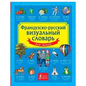 Книга "Французско-русский визуальный словарь для детей"