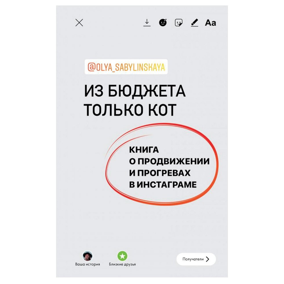 Книга "Из бюджета только кот. Книга о продвижении и прогревах в инстаграме", Оля Сабылинская от компании «Офистон маркет» - фото 1