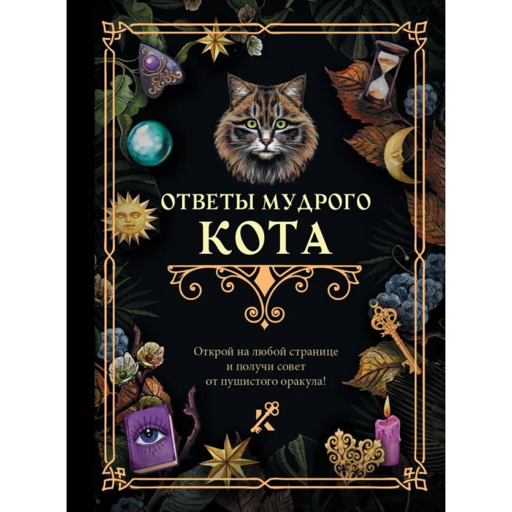 Книга "Ответы мудрого кота" от компании «Офистон маркет» - фото 1