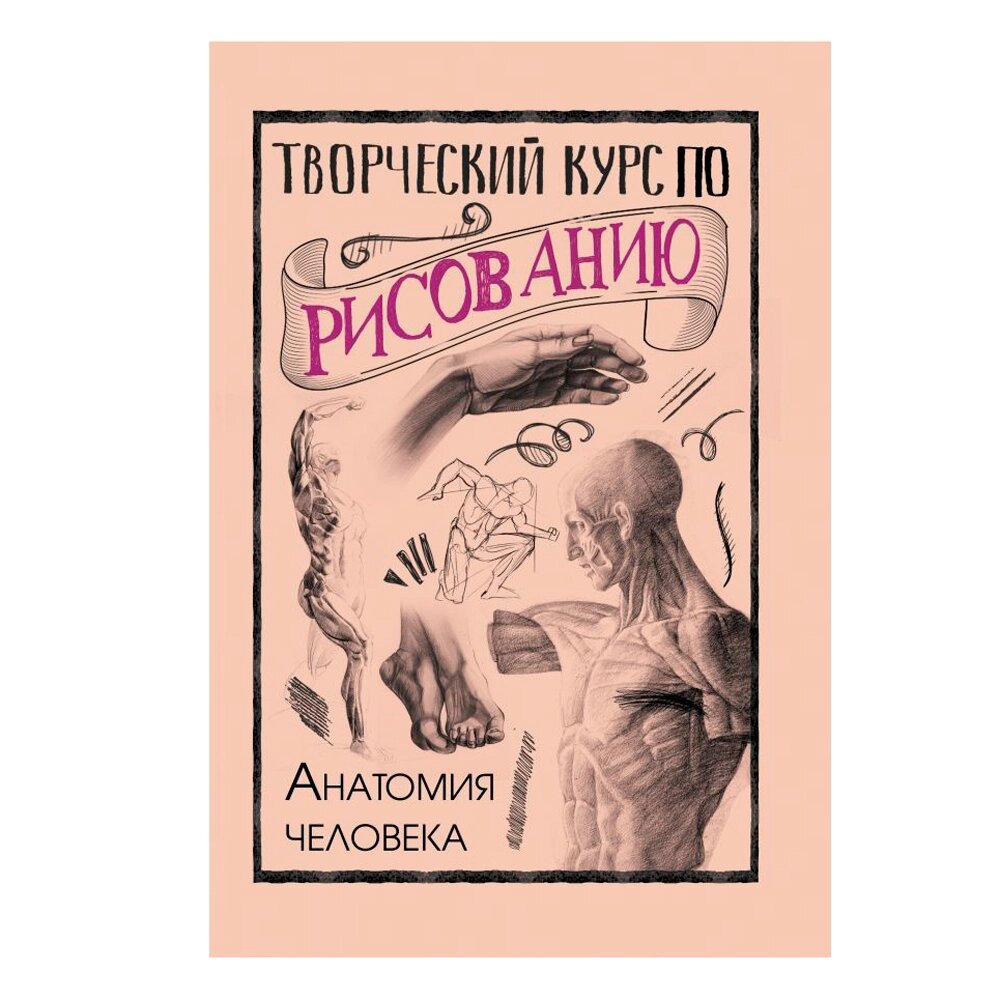 Книга "Творческий курс по рисованию. Анатомия человека", Мистер Грей от компании «Офистон маркет» - фото 1