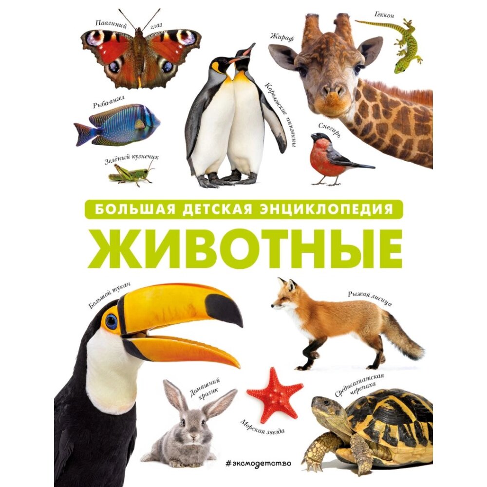 Книга "Животные. Большая детская энциклопедия" от компании «Офистон маркет» - фото 1