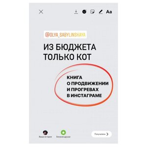 Книга "Из бюджета только кот. Книга о продвижении и прогревах в инстаграме", Оля Сабылинская в Минске от компании «Офистон маркет»