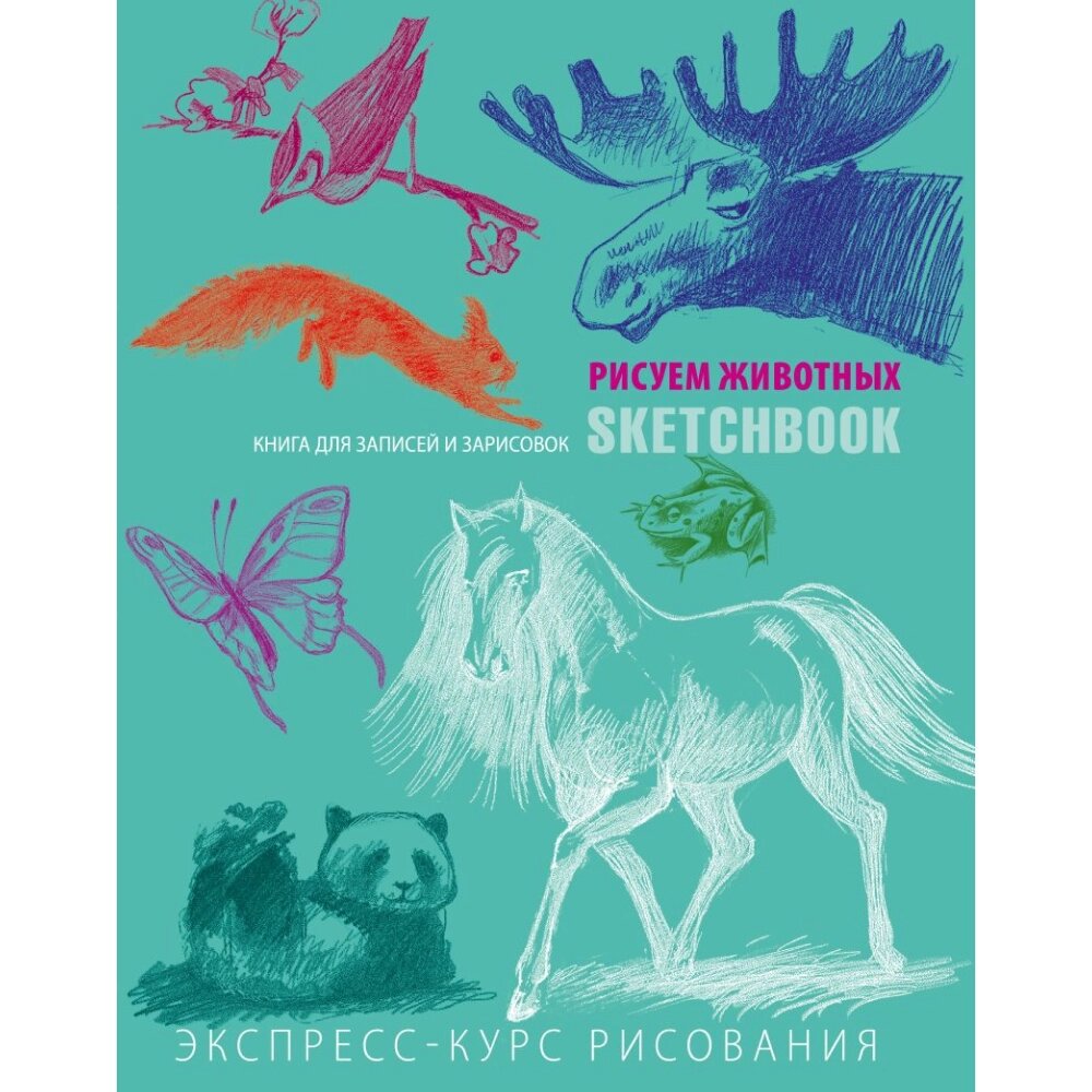 Скетчбук с уроками внутри "Рисуем животных (мята)" от компании «Офистон маркет» - фото 1