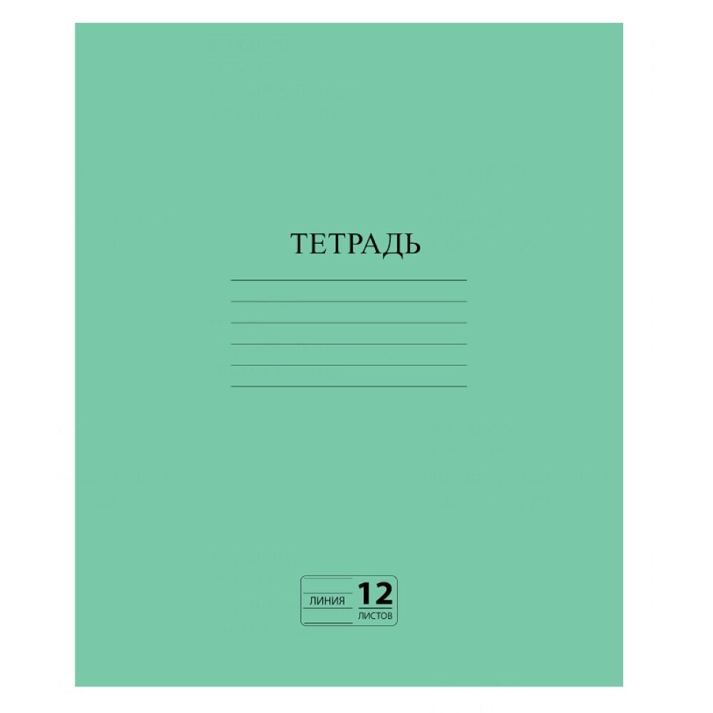 Тетрадь "Пифагор", А5, 12 листов, линейка, зеленый от компании «Офистон маркет» - фото 1