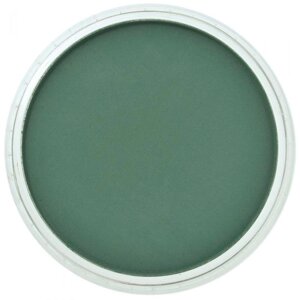 Ультрамягкая пастель "PanPastel", 640.1 зеленый перманентный темный