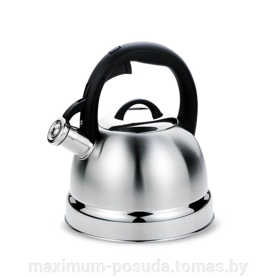 Чайник из нержавеющей стали  Maestro MR-1329 2,9 л от компании MAXIMUM-POSUDA - фото 1