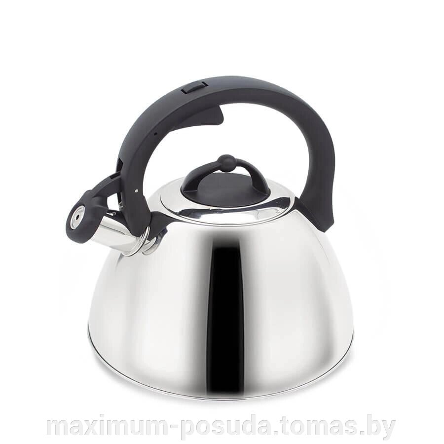 Чайник  Maestro MR-1335   2,5 л от компании MAXIMUM-POSUDA - фото 1