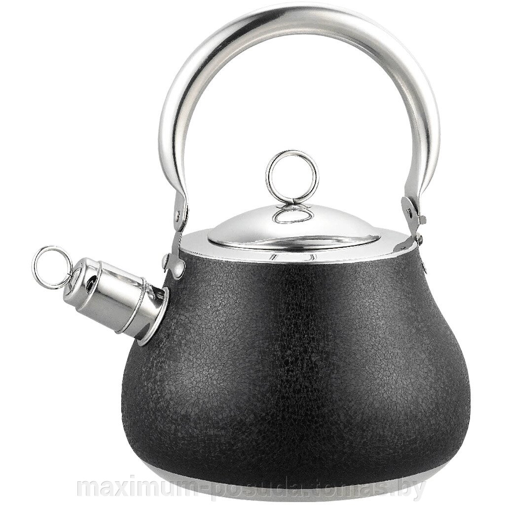 Чайник  нержавеющая сталь Munchenhaus MH-15658 2.7л Черный от компании MAXIMUM-POSUDA - фото 1