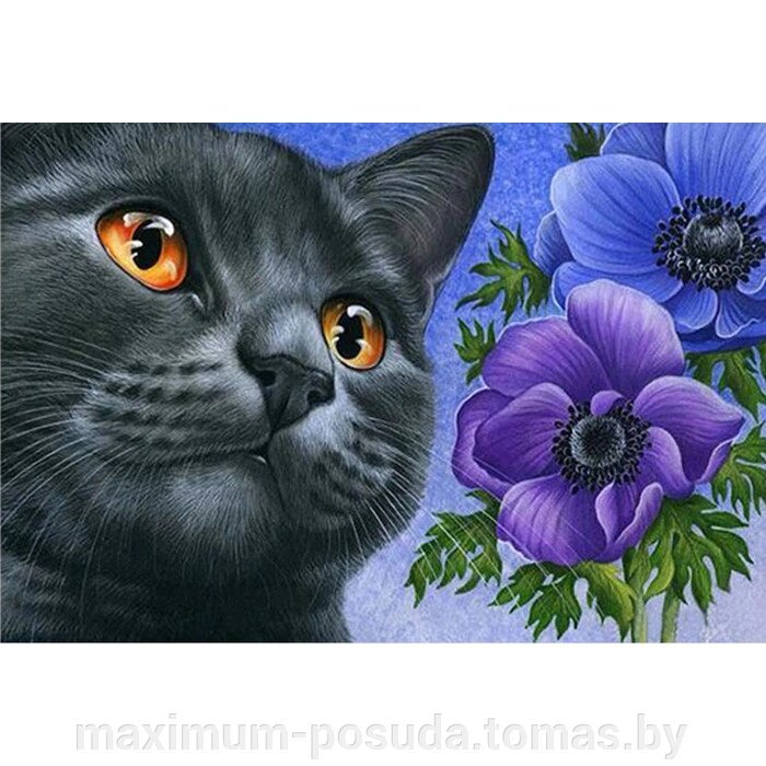 Набор для творчества "Рисование по номерам" 30*20см Кот с цветами  DV-9519-5 от компании MAXIMUM-POSUDA - фото 1