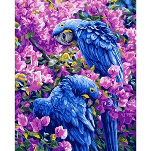 Набор для творчества "Рисование по номерам" 40*50см Попугаи в цветах DV-9521-3