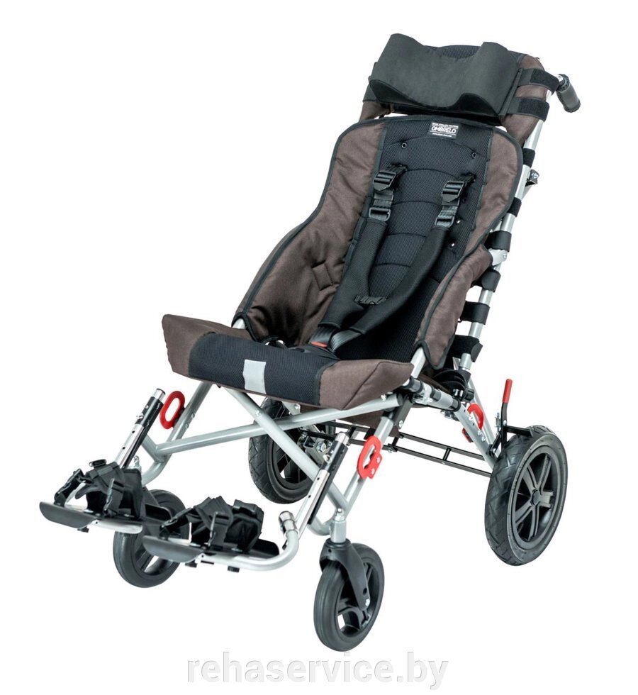 Детская инвалидная коляска ДЦП Ombrelo (размер 4) от компании Магазин товаров для здоровья - Rehaservice - фото 1