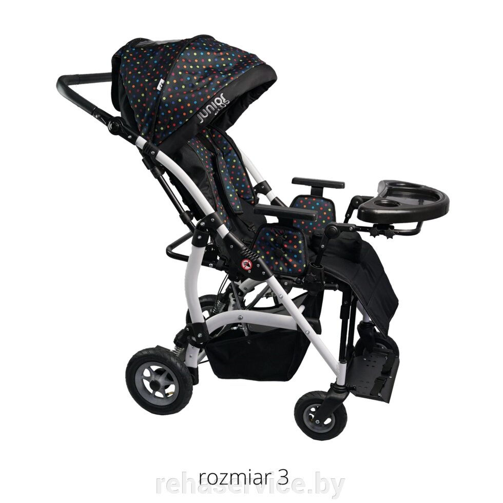 Детская инвалидная коляска для ДЦП Junior Plus New (Размер 3) от компании Магазин товаров для здоровья - Rehaservice - фото 1