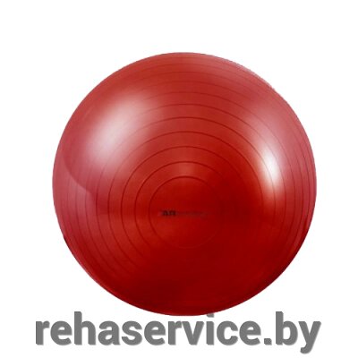 Мяч гимнастический GM-55 Classic, Armedical от компании Магазин товаров для здоровья - Rehaservice - фото 1
