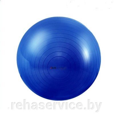 Мяч гимнастический GM-65 Classic, Armedical от компании Магазин товаров для здоровья - Rehaservice - фото 1