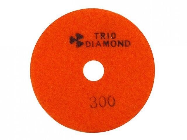 Алмазный гибкий шлифкруг "Черепашка" 100 № 300 (мокрая шл.) (Trio-Diamond) от компании ЧТУП «АннаДекор» - фото 1