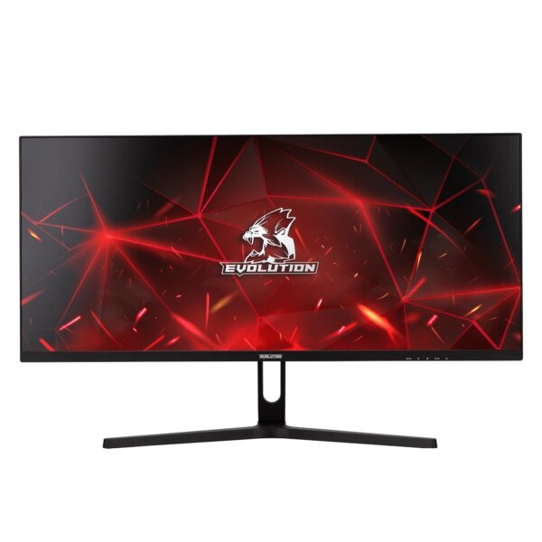 Монитор EVOLUTION Gaming 29" GX292kic UW IPS от компании ЧТУП «АннаДекор» - фото 1