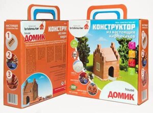 Конструктор из кирпичиков "Домик", 99 деталей