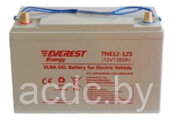 Аккумулятор 12V тяговый 100Ah GEL Everest TNE 12-125 от компании Общество с ограниченной ответственностью "Проектатек" - фото 1