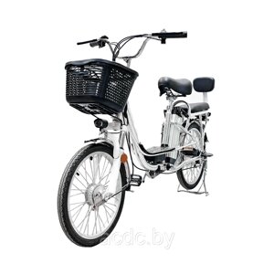 Электровелосипед GreenCamel Транк-20 V2 (R20 250W10Ah) Алюм, редукторный