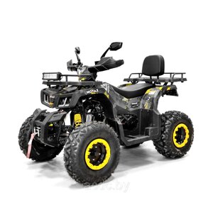 Квадроцикл MOTAX GRIZLIK T200