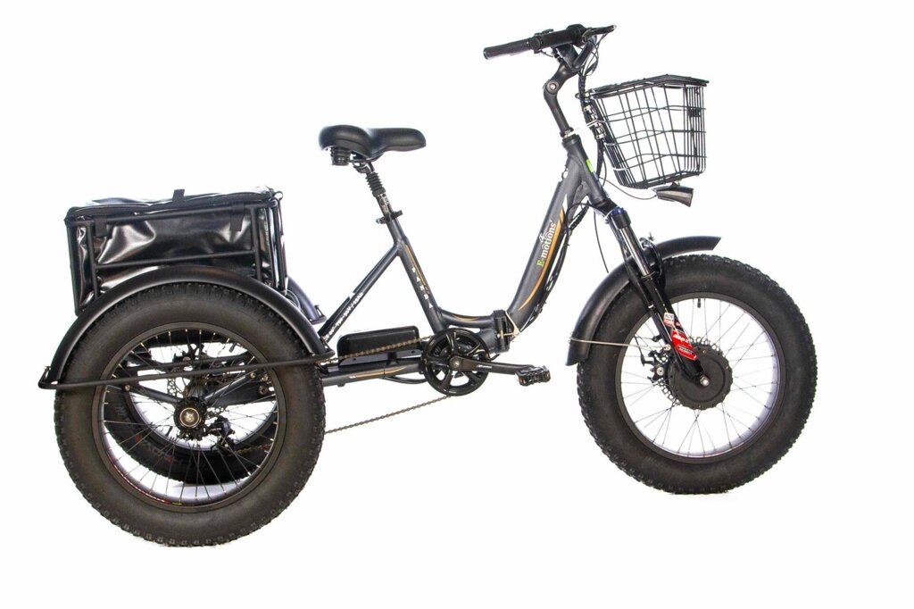 Электричесикй велосипед трицикл E-motions Panda 750W от компании ООО Мотоэнергия - фото 1