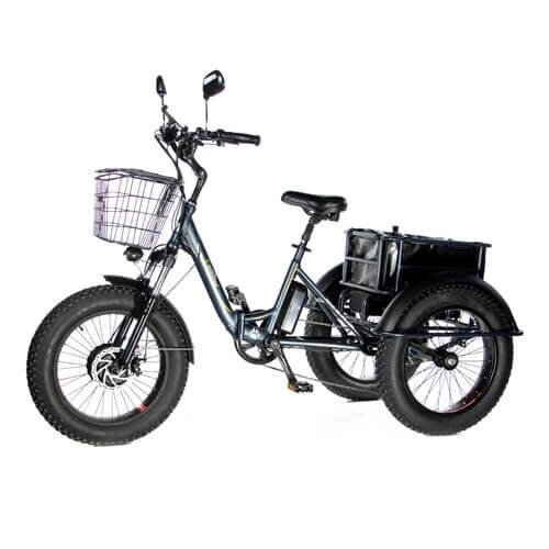Электровелосипед трицикл E-motions Panda 750W от компании ООО Мотоэнергия - фото 1