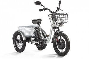 Электровелосипед Трицикл Eltreco Porter Fat 700 серебристый-2415