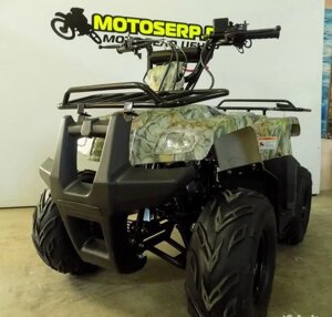 Квадроцикл Motoland 110 RIDER