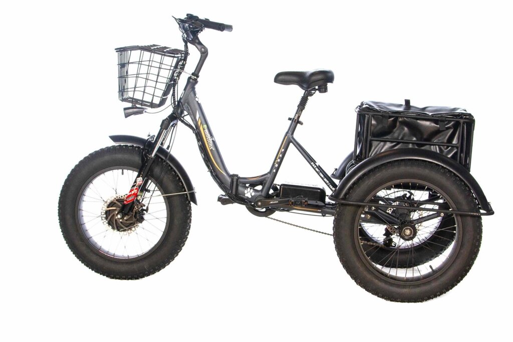 Велосипед электрический трицикл E-motions Panda 750W от компании ООО Мотоэнергия - фото 1