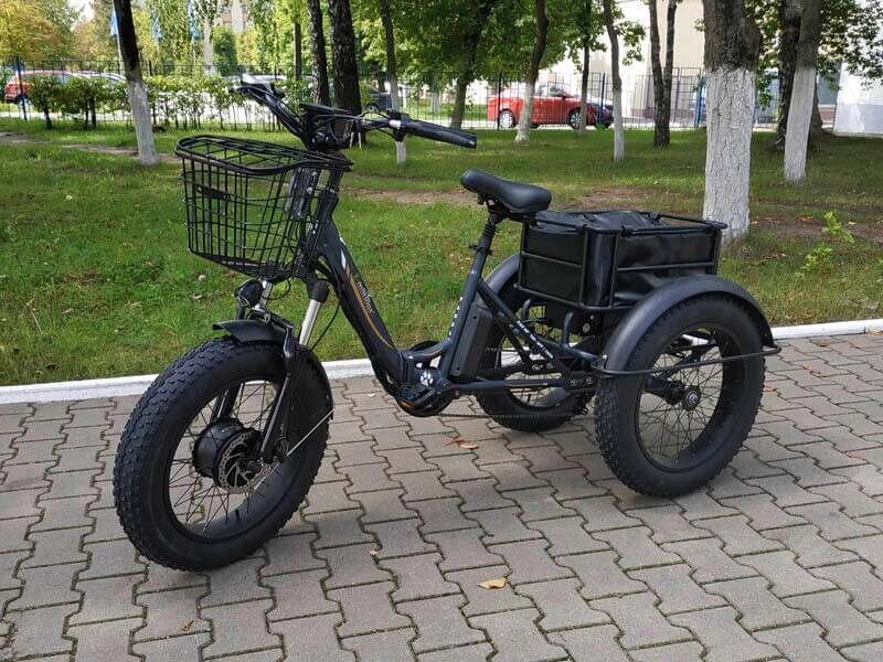 Велосипед электро трицикл E-motions Panda 750W от компании ООО Мотоэнергия - фото 1