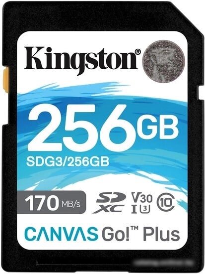 Карта памяти Kingston Canvas Go! Plus SDXC 256GB от компании Easybuy-top - фото 1