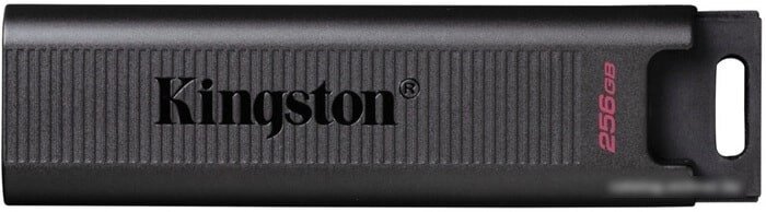 USB Flash Kingston DataTraveler Max 256GB от компании Easybuy-top - фото 1