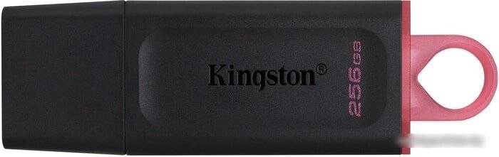 USB Flash Kingston Exodia 256GB от компании Easybuy-top - фото 1