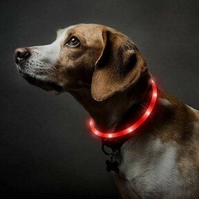 Светящийся ошейник для собак (3 режима, зарядка USB) Красный (Red), размер М