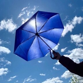 Автоматический противоштормовой зонт Конгресс Антишторм, ручка экокожа Синий