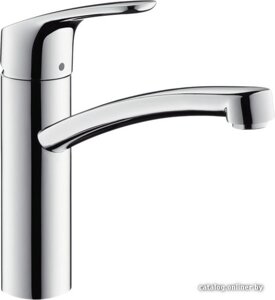 Hansgrohe Focus 31806800