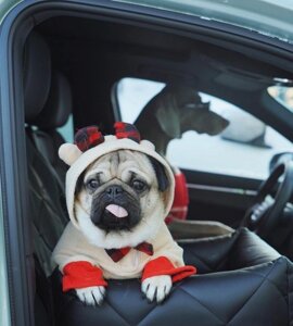 Автокресло для перевозки собак, лежак в машину для животных