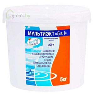 Средство для комплексной обработки воды бассейнов Мультиэкт 5 в 1 (ведро 5 кг)