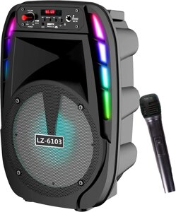 Беспроводная акустическая система LZ-6103 с микрофоном