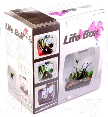Террариум Lucky Reptile Life Box / LB-35W ##от компании## Buytime - ##фото## 1